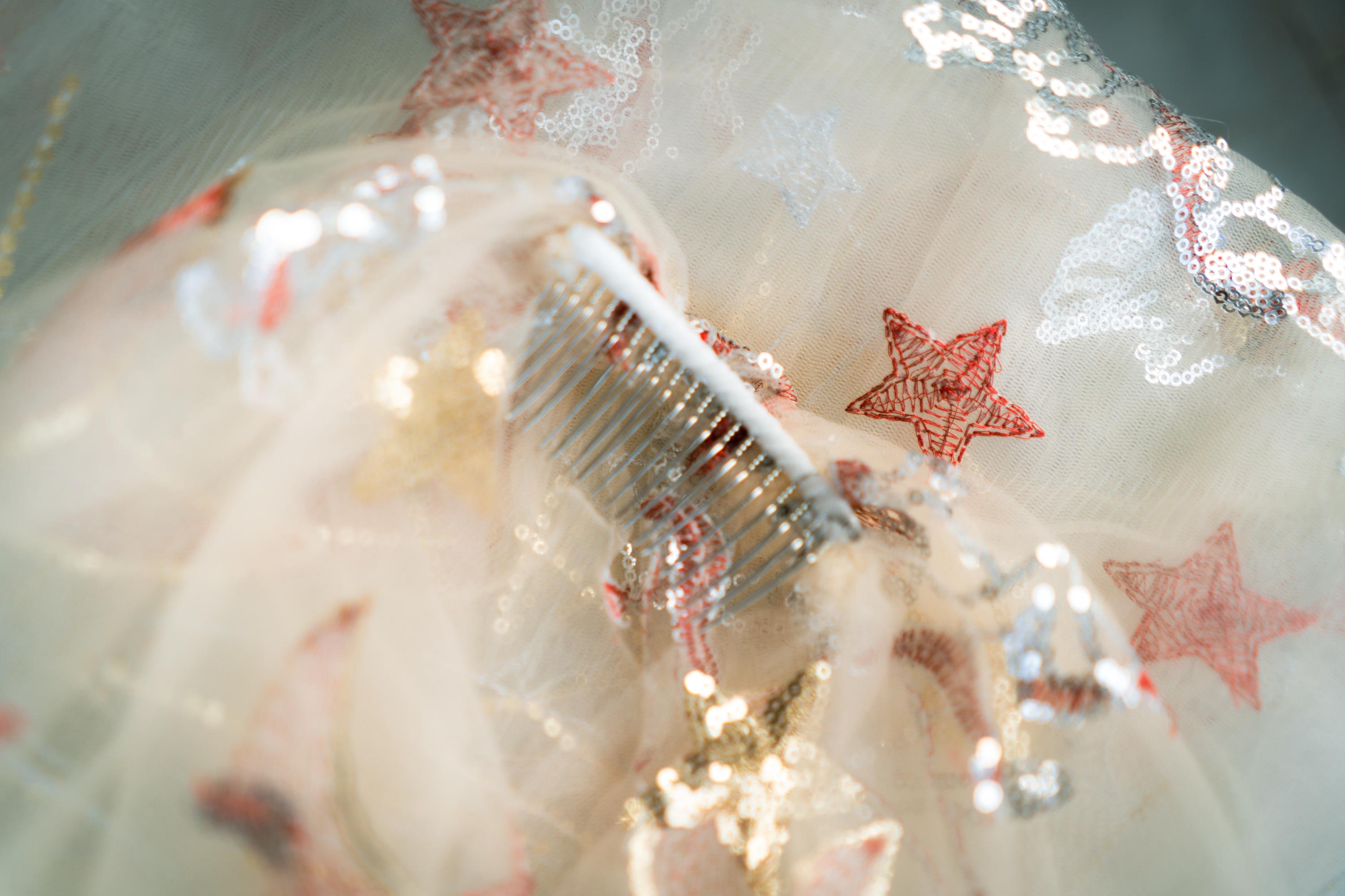 Pegasus Celestial Sequin Bridal Veil | Champagne Fingertip Cut